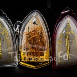 百年老龜殼神算拍嬰