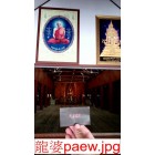 龍婆paew